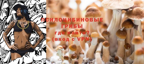 альфа пвп Елизово