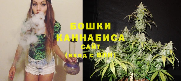 прущая мука Ельня