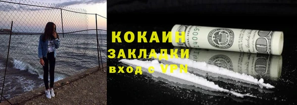 прущая мука Ельня