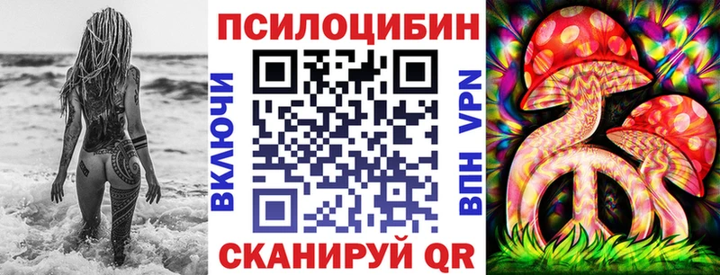 Галлюциногенные грибы мицелий  Купить закладки  Тайга 